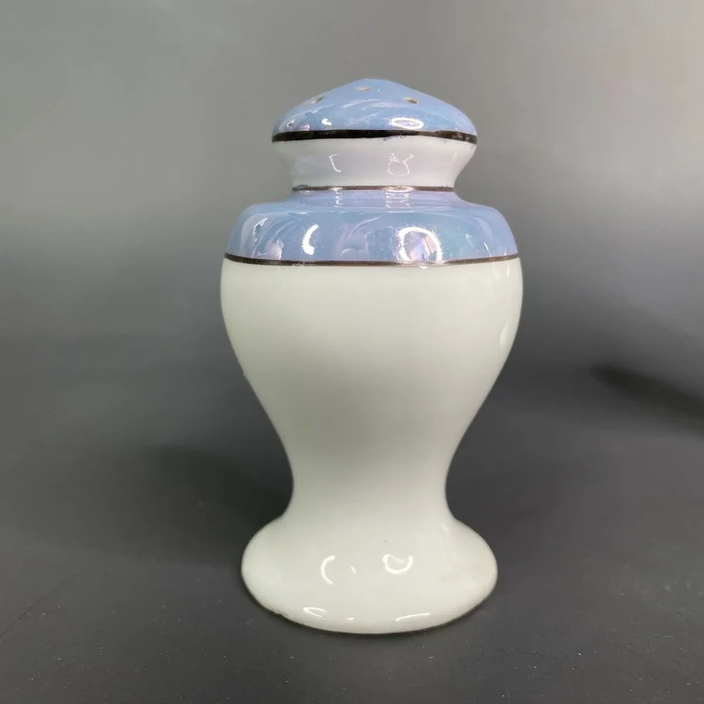 Vintage Lustreware Salt & Pepper Shaker Set Japan Porcelain Hand Painted Parrots